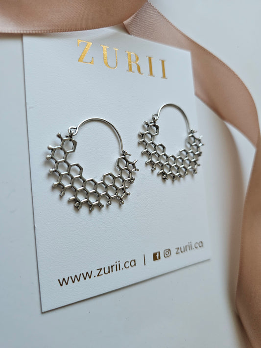 Bee hive Earrings Silver